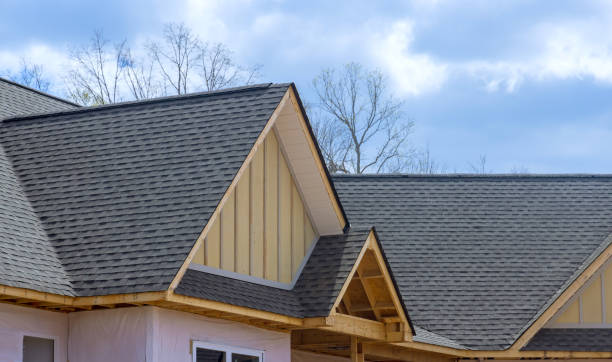 Best Asphalt Shingle Roofing  in Centralia, MO